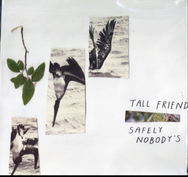 Safely NobodyS