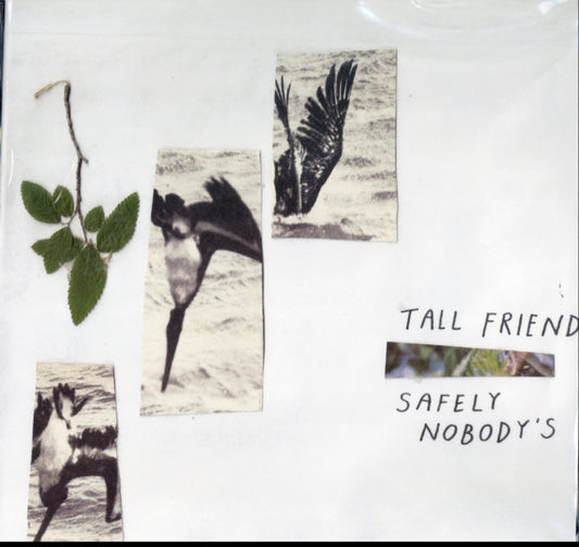 Safely NobodyS