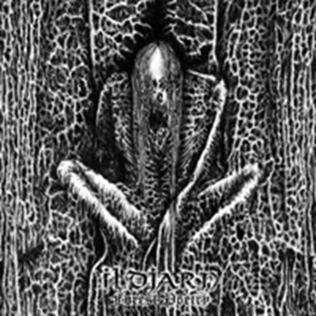 Forest Poetry Reissue