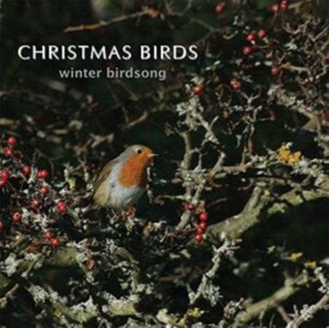 Christmas Birds
