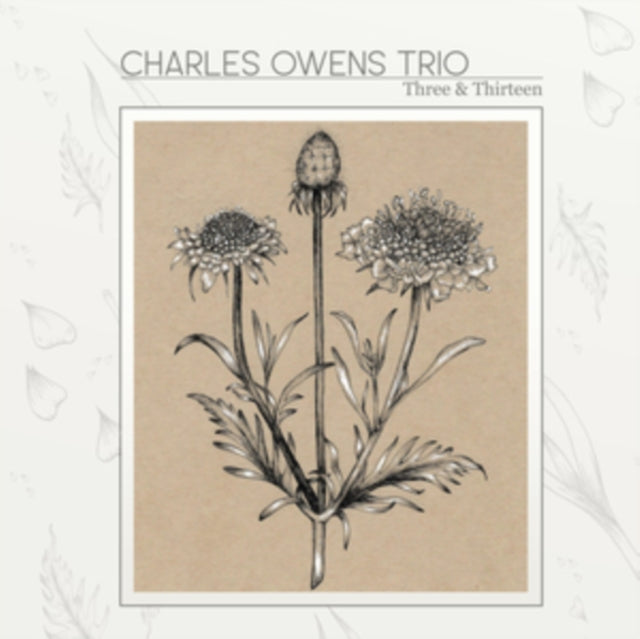 Three & Thirteen
