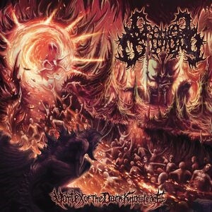 Vortex of the dark knowledge