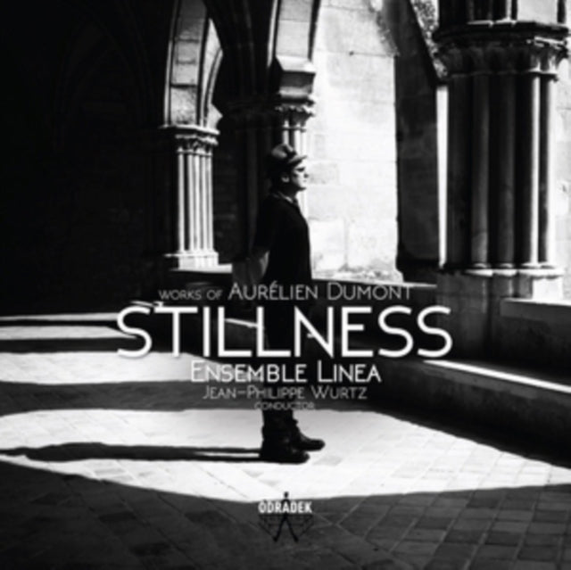 Stillness: Works of Aurélien Dumont