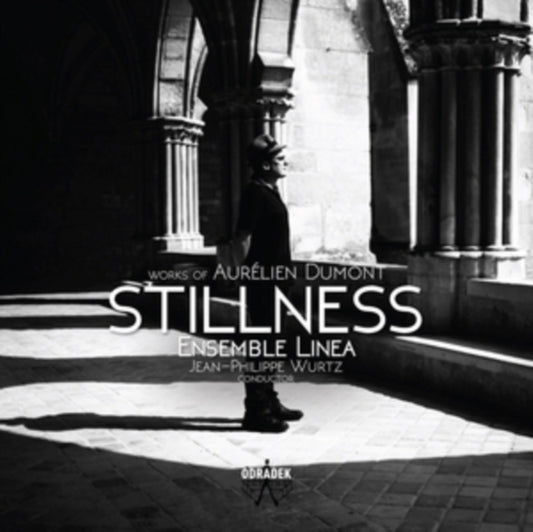 Stillness: Works of Aurélien Dumont
