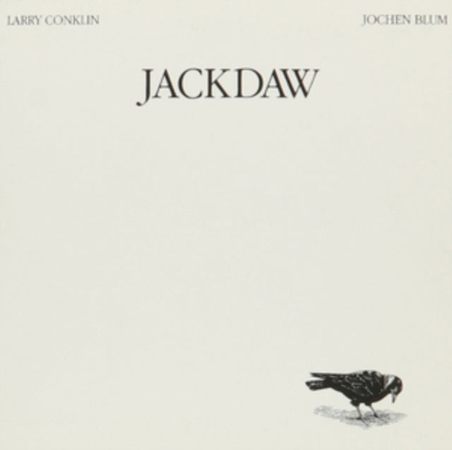 Jackdaw