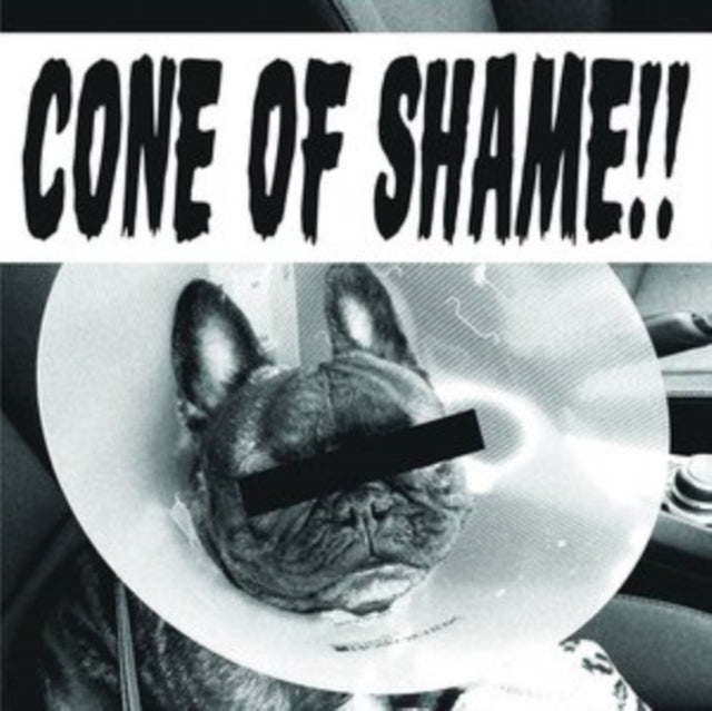 Cone of Shame