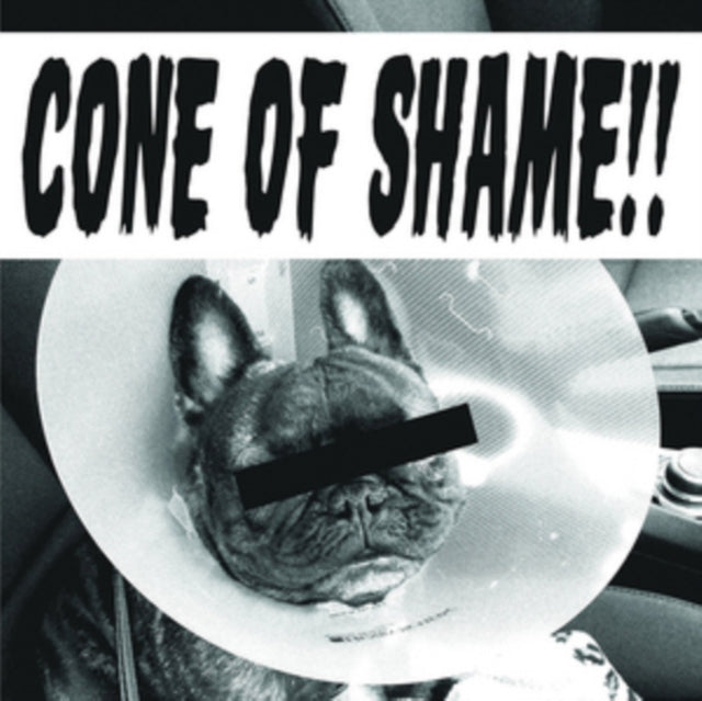 Cone of Shame