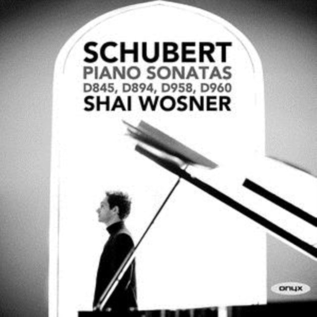 Schubert: Piano Sonatas, D845, D894, D958, D960