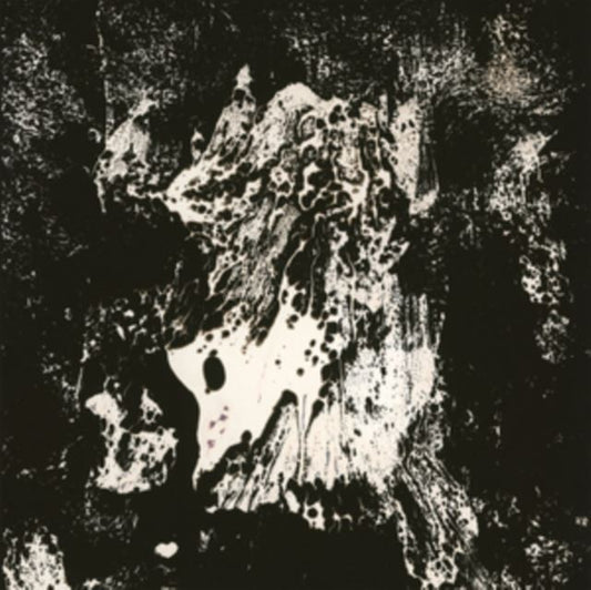 KAMI