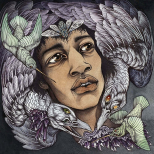 The Best of James Marshall Hendrix Redux