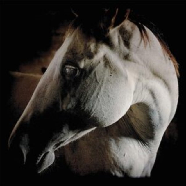 How to Kill a Horse