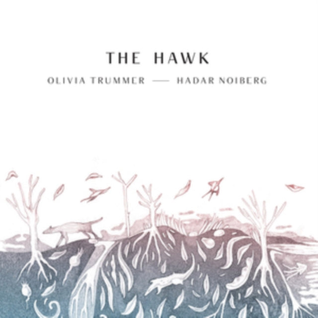 THE HAWK