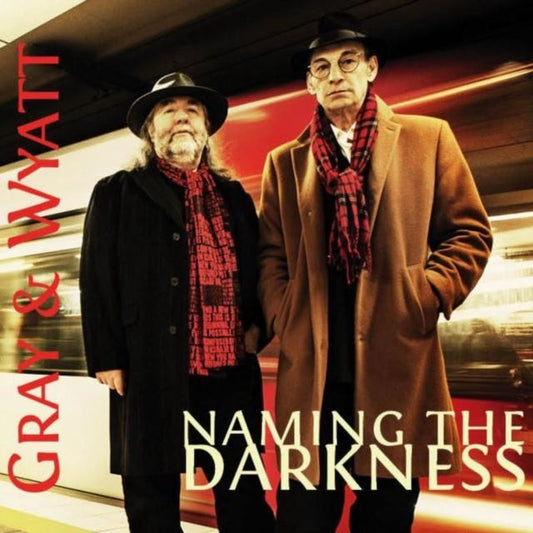 Naming the Darkness
