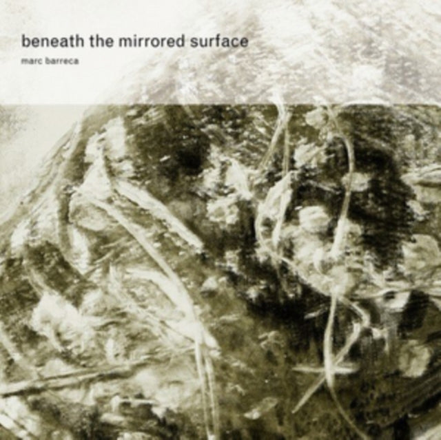 Beneath the Mirrored Surface