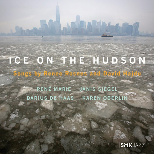 Ice On the Hudson