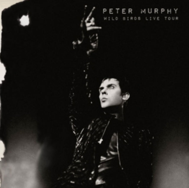 Wild Birds Live Tour
