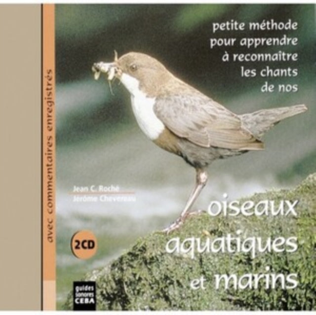 Oiseaux Aquatiques Et Marins