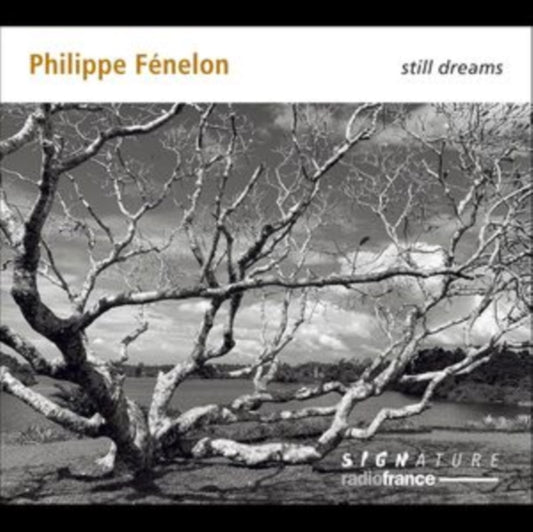 Philippe Fénelon: Still Dreams
