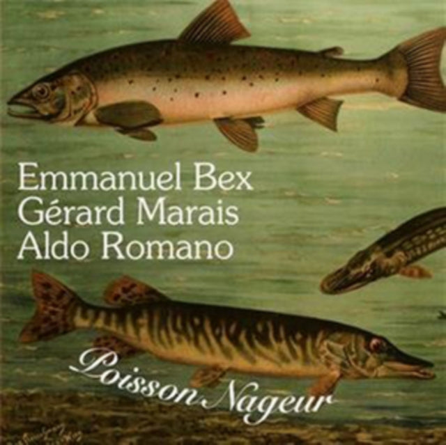 Poisson Nageur