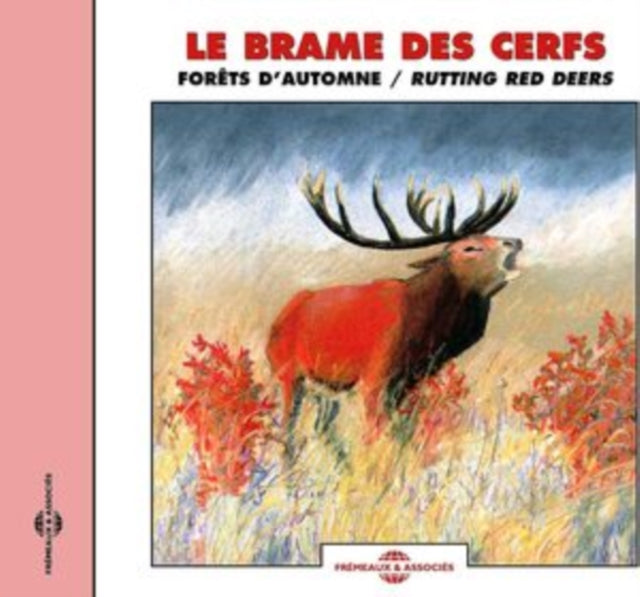 Le Brame Des Cerfs