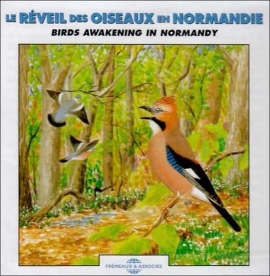 Dawn Chorus - Birds Awakening in Normandie