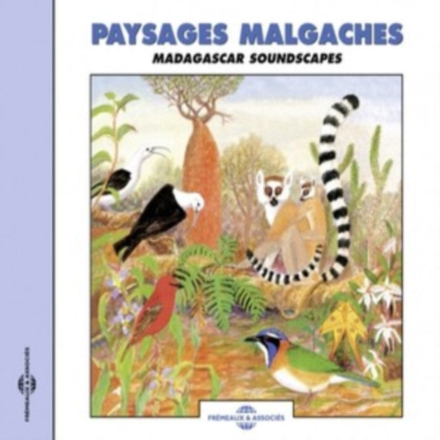 Paysages Malgaches