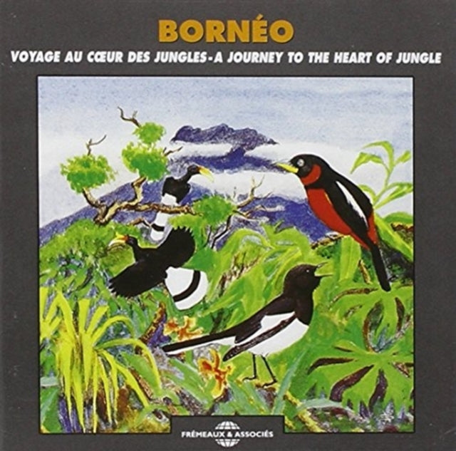 Borneo - A Journey to the Heart of the Jungle