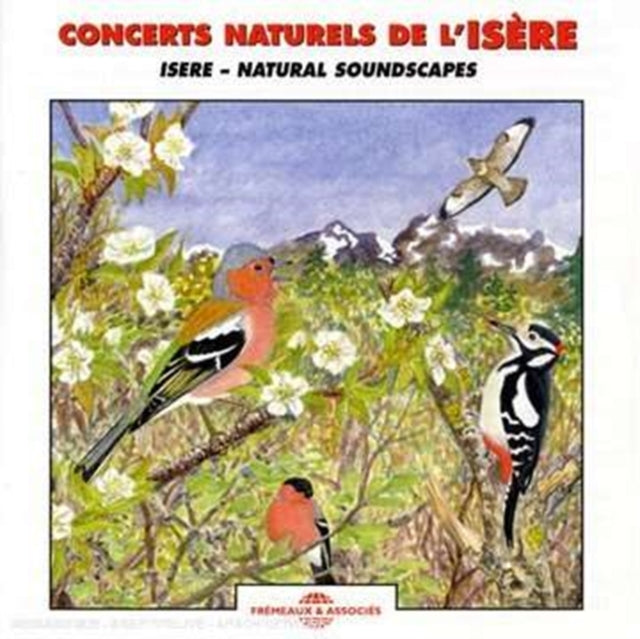 Birds - Natural Soundscapes