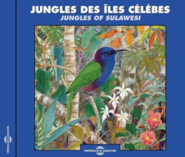 Jungles Des Iles Celebes