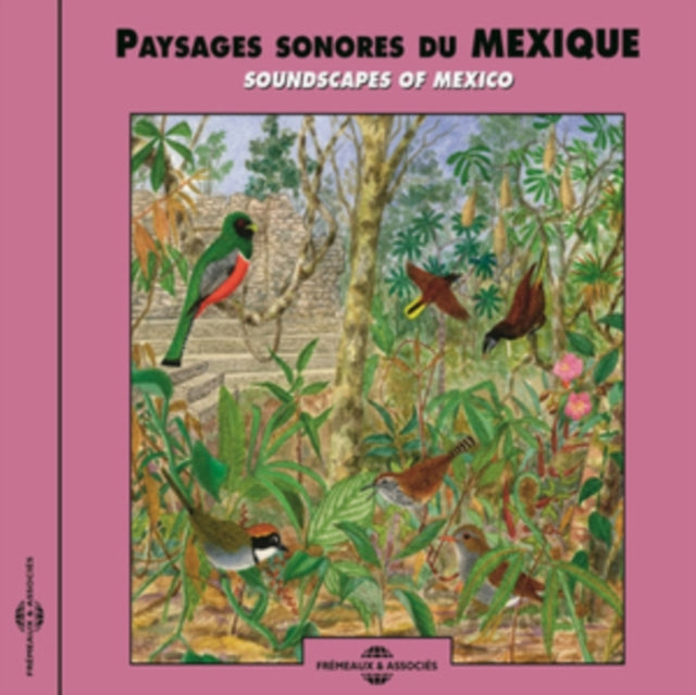 Paysages Sonores Du Mexique