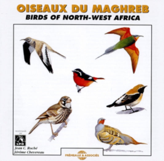 Oiseaux Du Maghreb (Birds of N.W. Africa)
