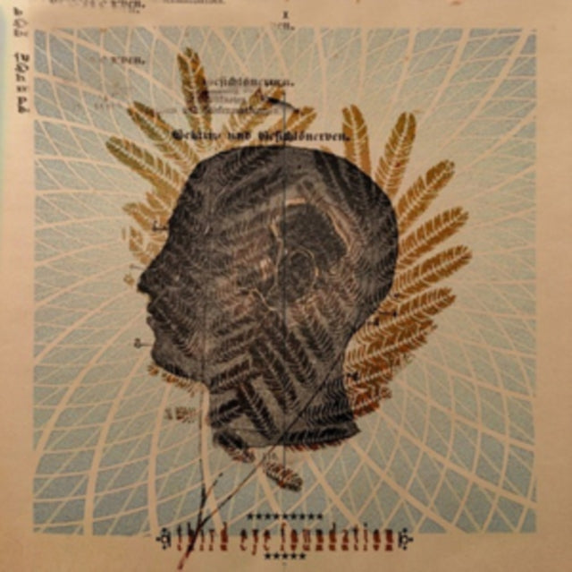 Wake the Dead