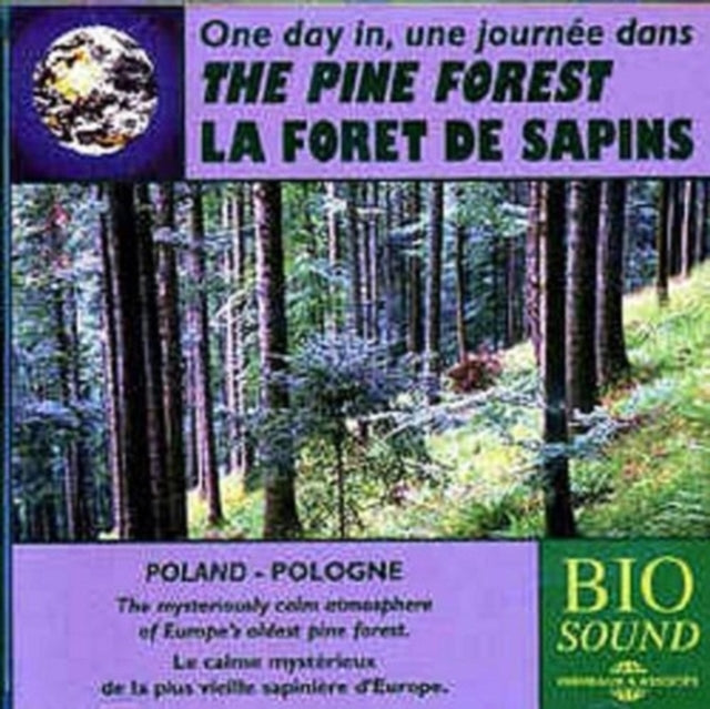 A Day in the Pine Forest