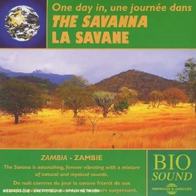 A Day in the Savanna