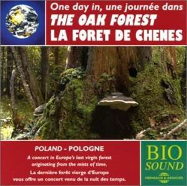 A Day in the Oak Forests of Poland