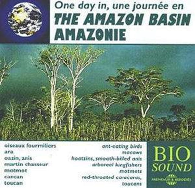 A Day in the Amazon Basin