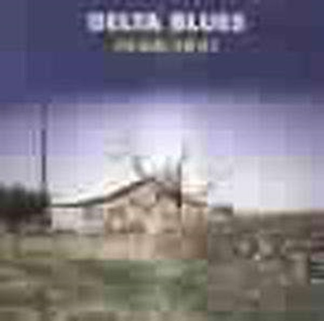 Delta Blues 1940 - 51