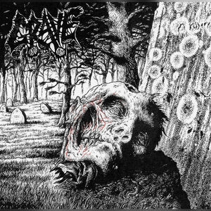 Necropsy