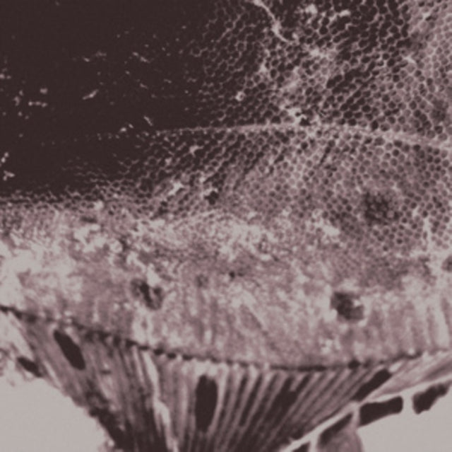 Flounder Maps