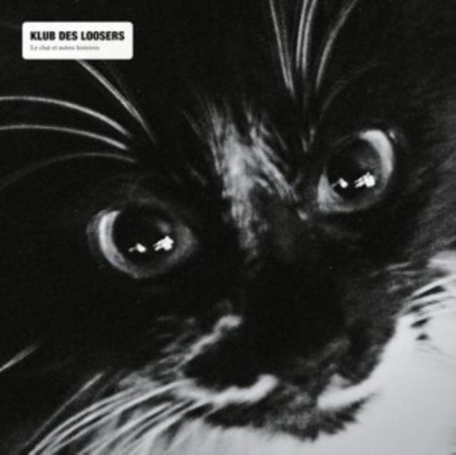 Le Chat Et Les Autres Histoires