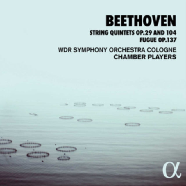 Beethoven: String Quintets, Op. 29 and 104/Fugue, Op. 137