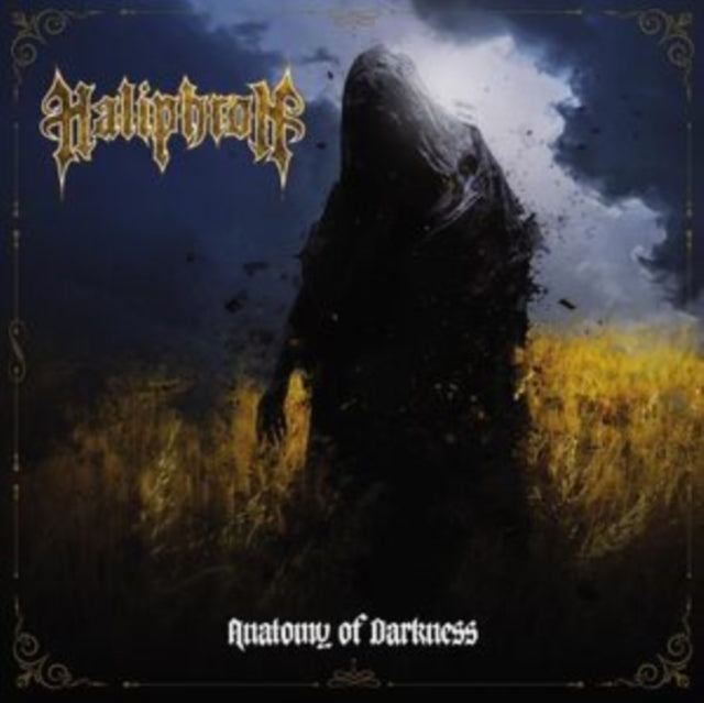 Anatomy of Darkness