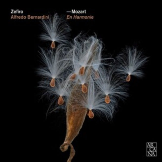 Mozart: En Harmonie