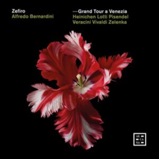 Zefiro: Grand Tour a Venezia