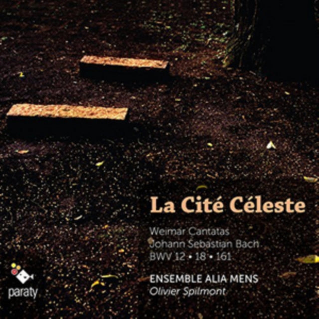 Ensemble Alia Mens: La Cite Celeste