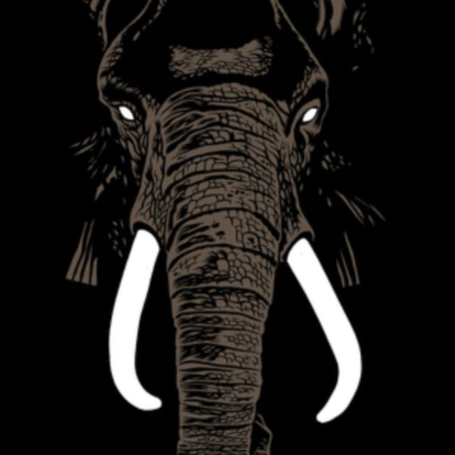 Don't Buy Ivory Anymore!