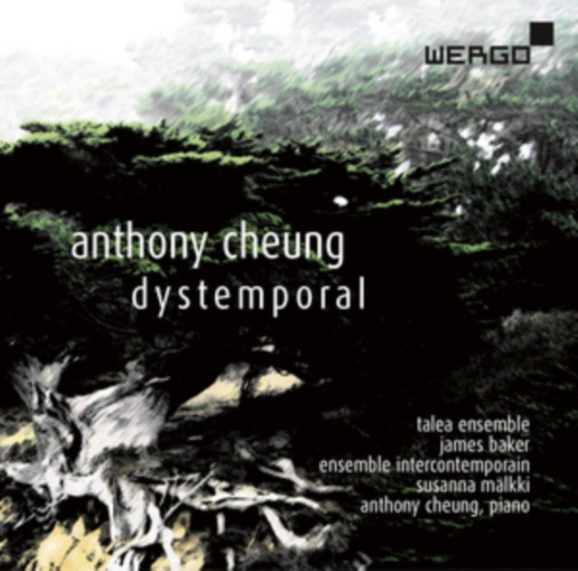Anthony Cheung: Dystemporal