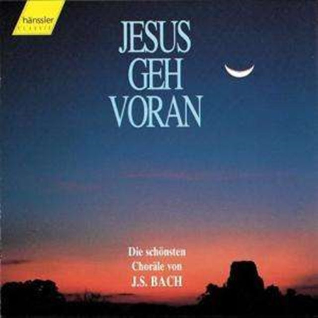 Jesus Geh Voran