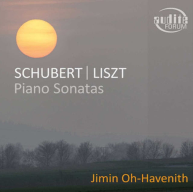 Schubert/Liszt: Piano Sonatas
