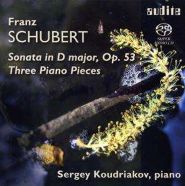 Piano Sonata D850, Three Piano Pieces (Koudriakov)